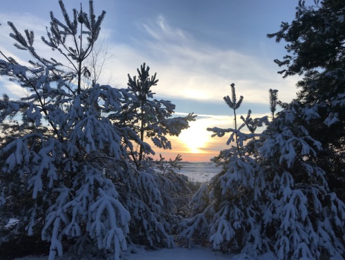 Herbst Kleinleipisch